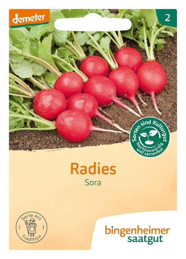 Produktfoto zu Radieschensamen Sora