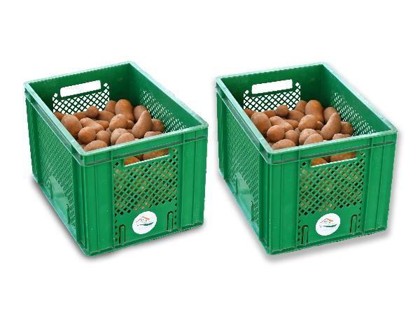 Produktfoto zu Kartoffeln vfk 2 x 12,5 kg