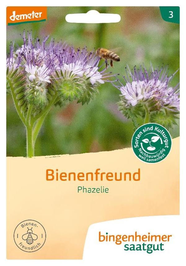 Produktfoto zu Phacelie Bienenfreund Saatgut