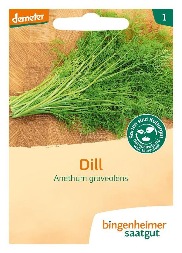 Produktfoto zu Dill Saatscheibe