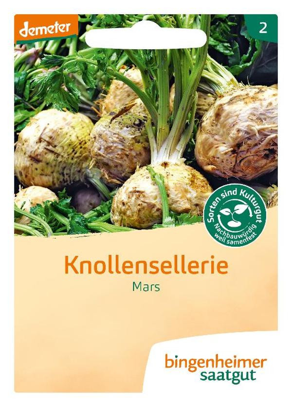 Produktfoto zu Knollensellerie Mars Saatgut