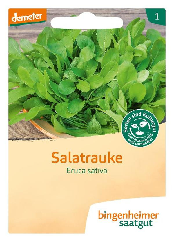 Produktfoto zu Rucola Salatrauke Samen