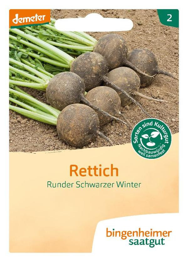 Produktfoto zu Rettich Runder Schwarzer Winter Saatgut