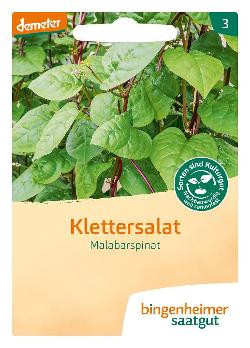 Produktfoto zu Klettersalat Malabar-Spinat Saatgut