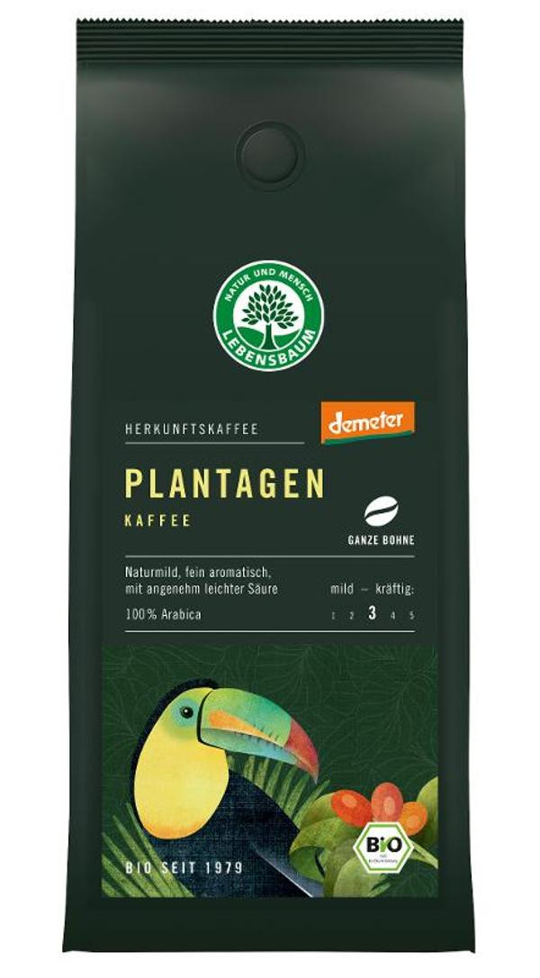 Produktfoto zu Plantagen Kaffee ganze Bohnen