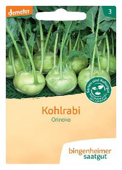 Produktfoto zu Kohlrabi weiß Orinoko