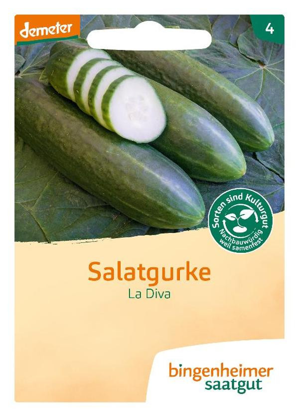 Produktfoto zu Snackgurke La Diva