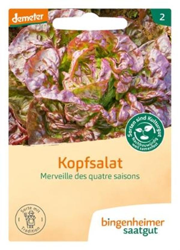 Produktfoto zu Kopfsalat rot Merveille de 4 Saison Saatgut