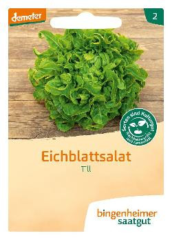 Produktfoto zu Eichblattsalat Till