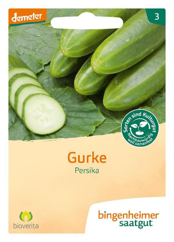 Produktfoto zu Freilandgurke Persika Samen