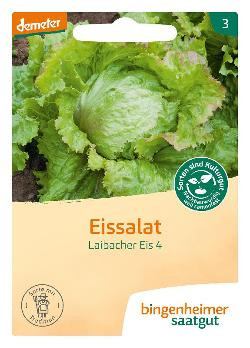 Produktfoto zu Eissalat Laibacher Eis Saatgut