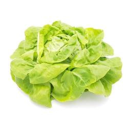 Produktfoto zu Kopfsalat