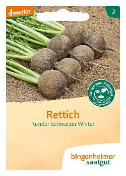 Produktfoto zu Rettich Runder Schwarzer Winter Saatgut