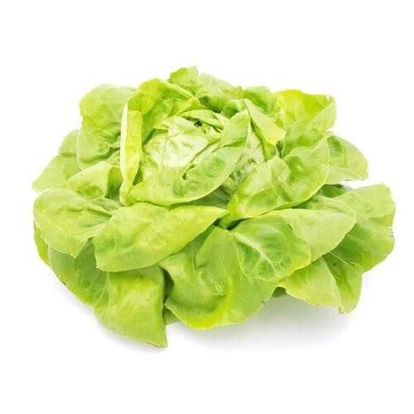 Produktfoto zu Kopfsalat