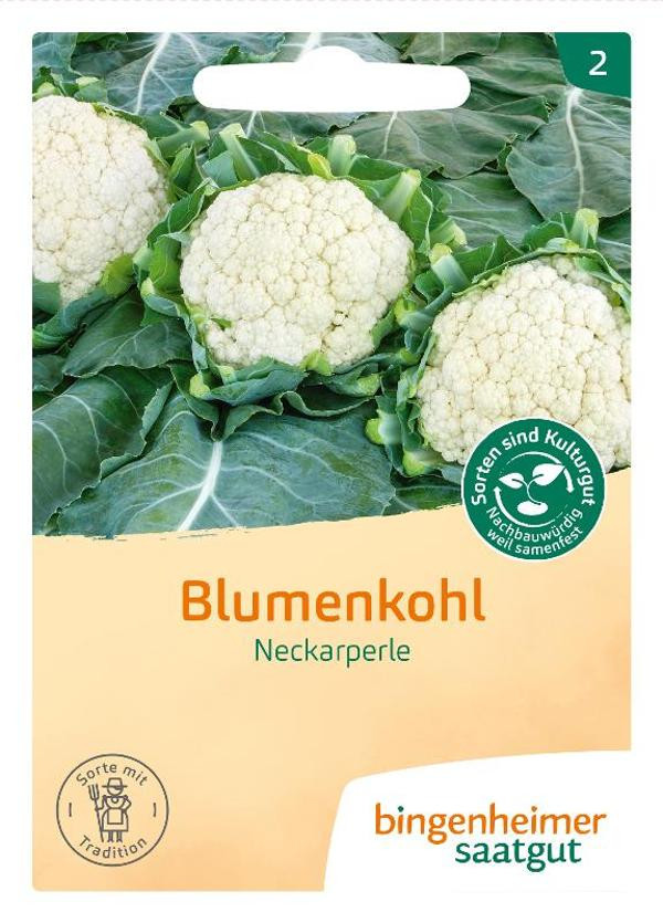 Produktfoto zu Blumenkohl Neckarperle Saatgut