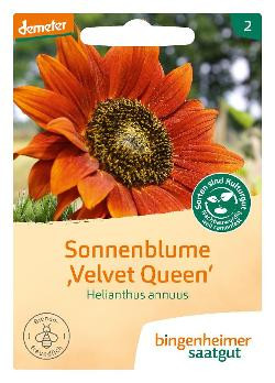 Produktfoto zu Sonnenblume Velvet Queen Saatgut