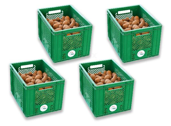 Produktfoto zu Kartoffeln mehlig 4 x 12,5 kg